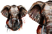 Set elephant fineart .4 styles, an Animal Illustration by art_mouse (Thumbnail 2 of 7)