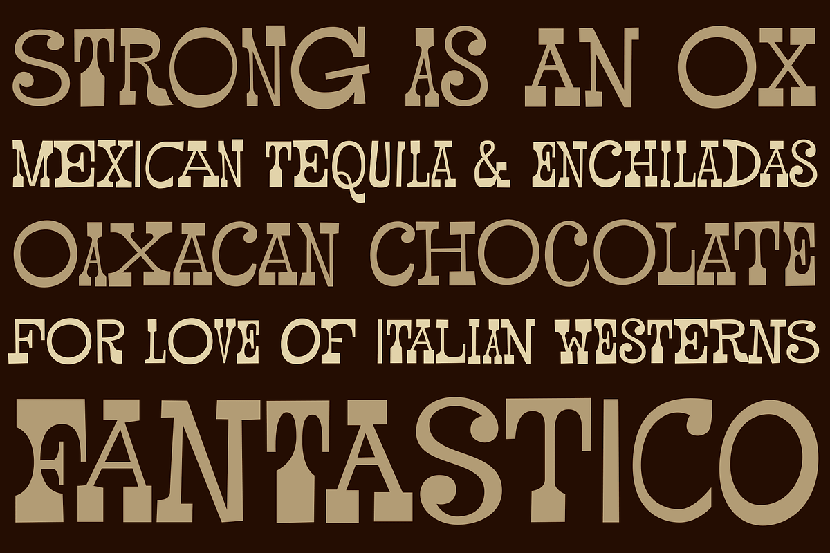 Pardner, a Serif Font by Stiggy & Sands (Photo 3 of 4)