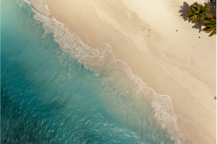 Tropical carribbean beach, aerial