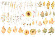 Autumn watercolor collection., a Decorative Illustration by Elena Medvedeva (Thumbnail 6 of 7)