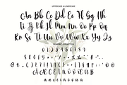 the flowers | Script Font, a Script Font by Scratchones (Thumbnail 3 of 8)