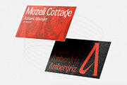 Astheric – Modern Ligature Serif, a Serif Font by Variatype (Thumbnail 3 of 10)