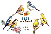 Birds on a branch in watercolor, an Animal Illustration by lidiya_zayac (Thumbnail 3 of 3)