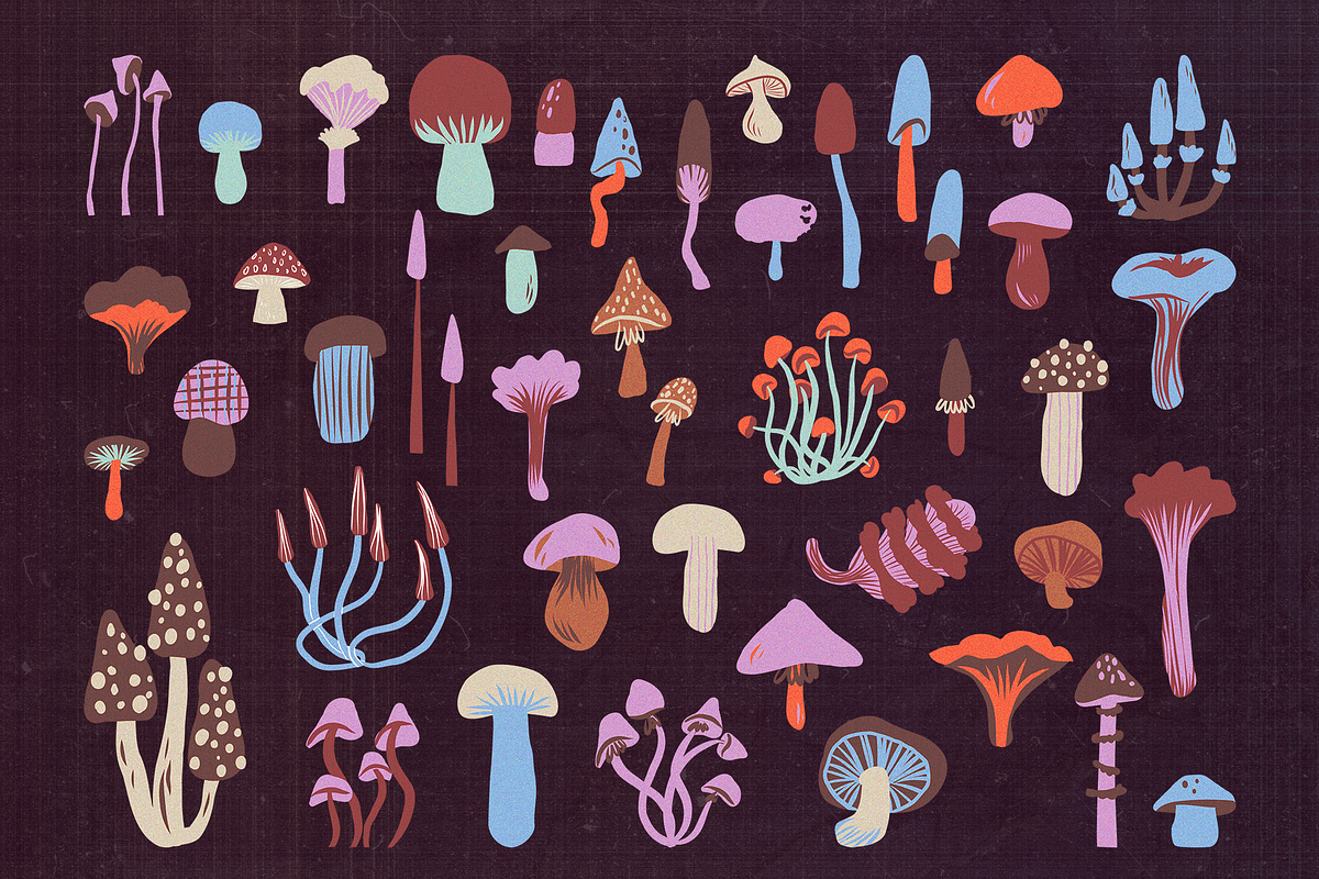 Grainy Surreal Mushrooms set, a Decorative Illustration by Paper Cherry (Photo 3 of 12)