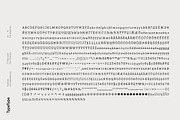 TT Rationalist, a Slab Serif Font by TypeType (Thumbnail 4 of 15)