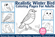Realistic Winter Bird Coloring Pages, an Animal Illustration by maggiesar (Thumbnail 1 of 4)