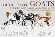 Ultimate Goats: 12 Watercolor Breeds, an Animal Illustration by FineArt (Thumbnail 1 of 8)