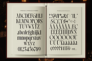 Dh Alista Aghni - 7 Serif Family, a Serif Font by Dharmas Foundry (Thumbnail 14 of 16)