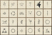 150 Hand Drawn Elements -Nature II-, an Animal Illustration by Michael Rayback Design (Thumbnail 7 of 8)