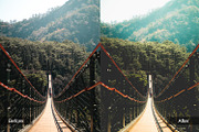 Cinematic Preset Pack 1, a Preset Add-On by MadeRed (Thumbnail 8 of 11)