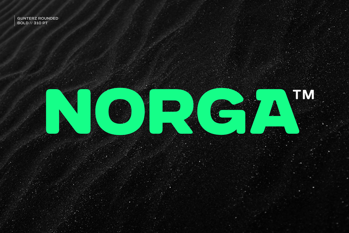 Gunterz Rounded, a Sans Serif Font by Locomotype (Photo 10 of 13)