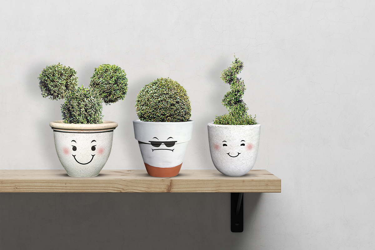 Smarty Planty - Plant life creator, a Product Mockup by envirographic (Photo 18 of 24)