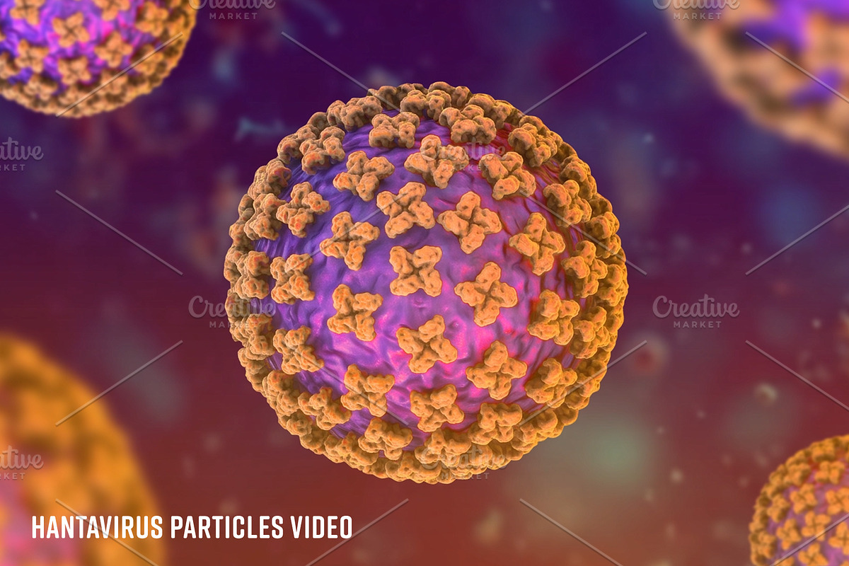 Hantavirus (video), a Scene 3D Model by Avartde Creative (Photo 2 of 2)