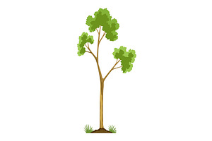 Stage of tree growth. Small, an Object Illustration by Things for designers
