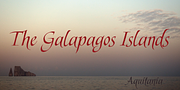 Aquitania, a Script Font by Alan Meeks Collection (Thumbnail 3 of 5)