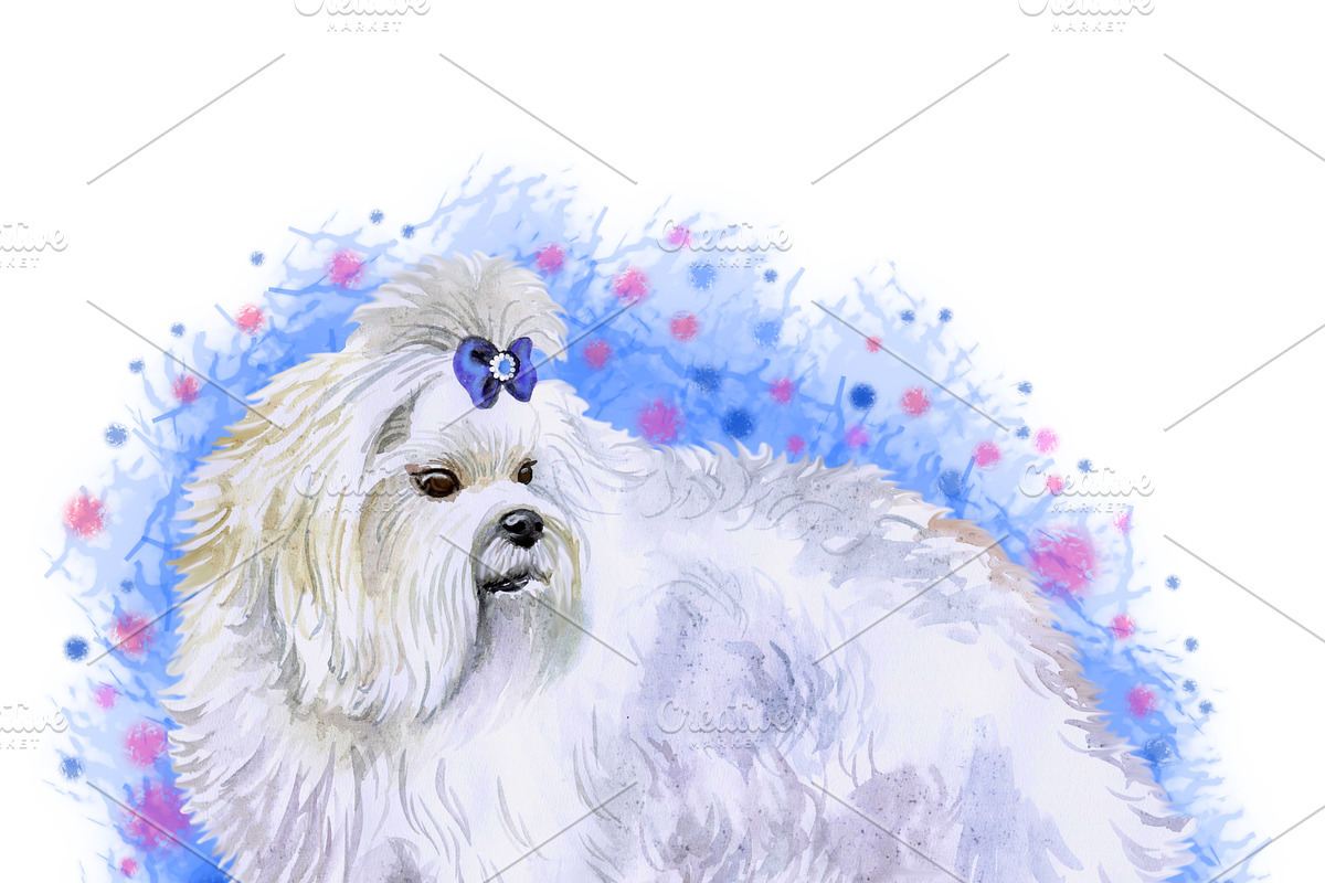 Watercolor Dogs Mega Big Bundle, an Illustration by Dneprstock (Photo 44 of 60)