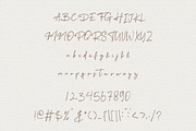 Drekmit Chic Script, a Script Font by Vultype Co. (Thumbnail 10 of 11)