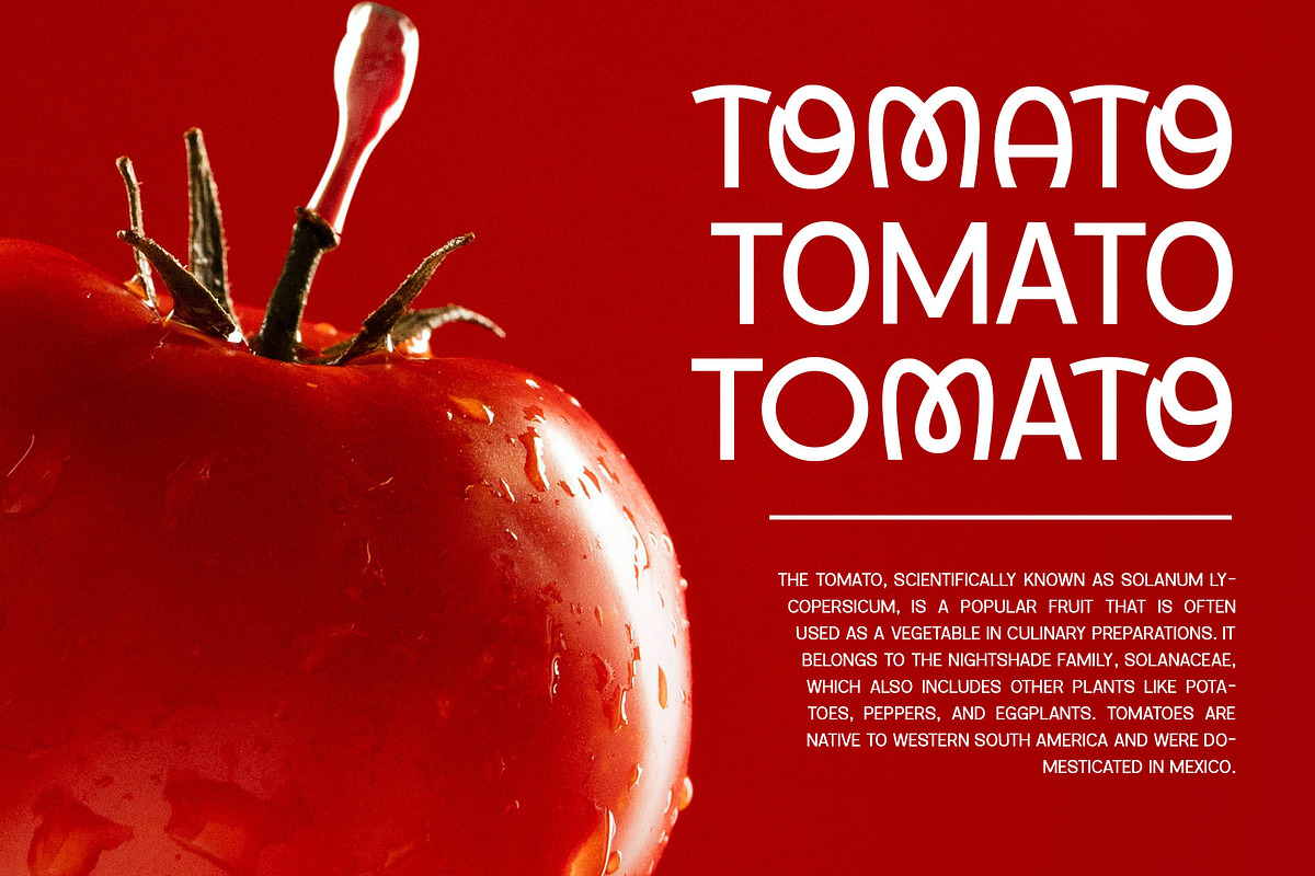Vemoly Display, a Sans Serif Font by Arterfak Project (Photo 13 of 13)