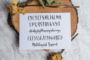 Charlote Shine, a Script Font by Essentials Studio (Thumbnail 9 of 10)