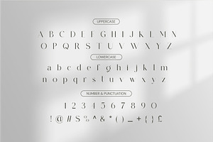 Agaston - Moderen Serif Font