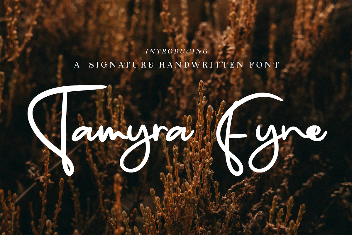 Tamyra Fyne - Bold Handwritten, a Handwritten Font by Indotype Foundry (Photo 1 of 10)