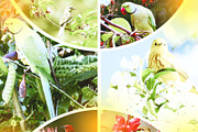 Collage Photo Frame Design Bundle, a Print Template by MRI STUDIO (Thumbnail 27 of 42)