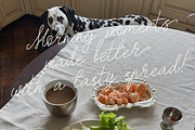 Atelier Royal Elegant Wedding Font, a Script Font by AnMark (Thumbnail 4 of 20)