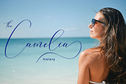 Washington Calligraphy Modern, a Script Font by Teweka (Thumbnail 17 of 19)