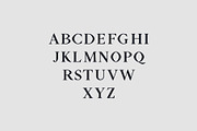 Aara Serif Font Family Pack, a Serif Font by Creativetacos (Thumbnail 2 of 5)