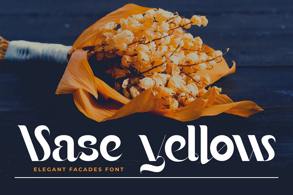 Elegant Facades - Modern Sans Font, a Sans Serif Font by 177Studio (Photo 3 of 8)