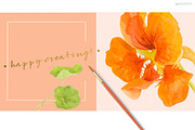 NASTURTIUM flowers-WatercolorClipart, an Illustration by watercolorwild.graphics (Thumbnail 7 of 7)