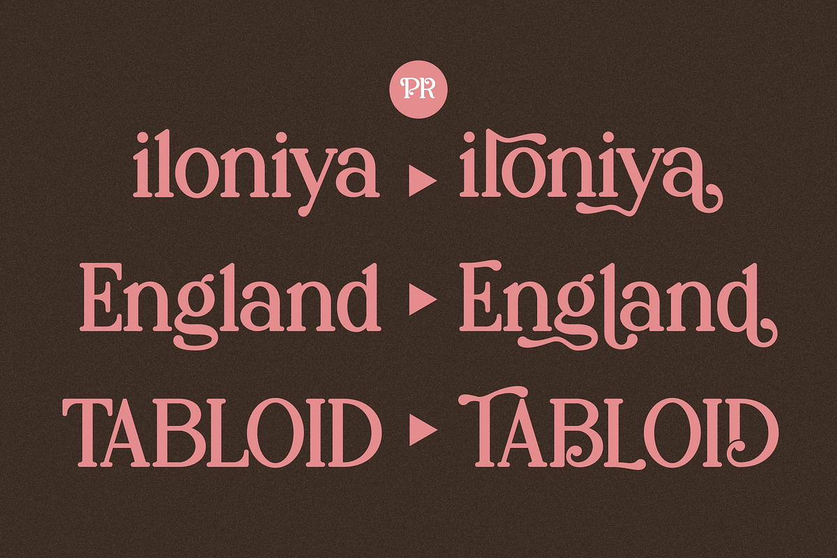 Palenk Radney | Modern Retro Serif, a Serif Font by Denustudios (Photo 8 of 13)