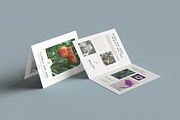 US Size Bifold Brochure MockUp, a Brochure Template by coloformia (Thumbnail 10 of 12)