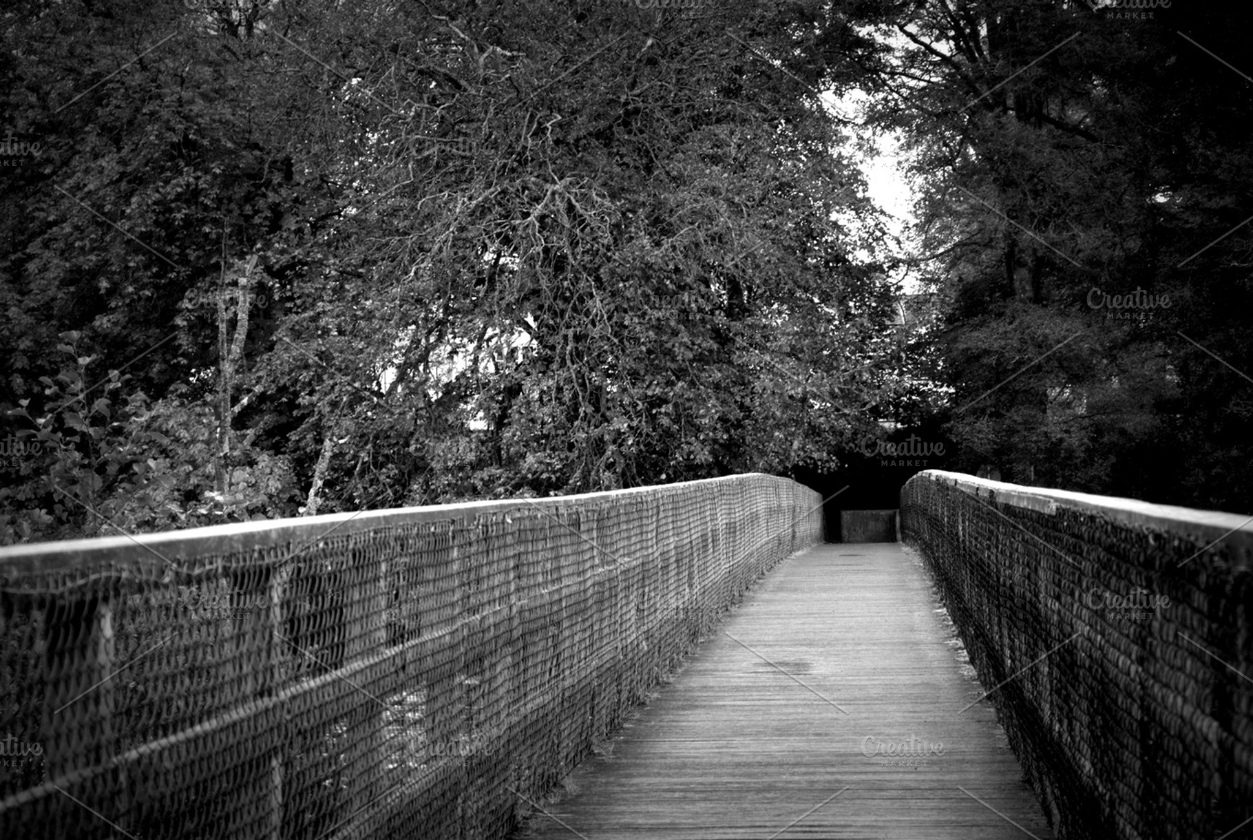 Black & White bridge, a Nature Photo by Tunde's Photos