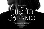Silver Brands - Elegant Mixed Serif, a Serif Font by Bale Type (Thumbnail 1 of 9)