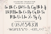 Beach Dandelion, a Handwritten Font by FreshTypeINK (Thumbnail 6 of 8)