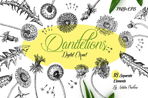 Dandelions  Sketches Clipart