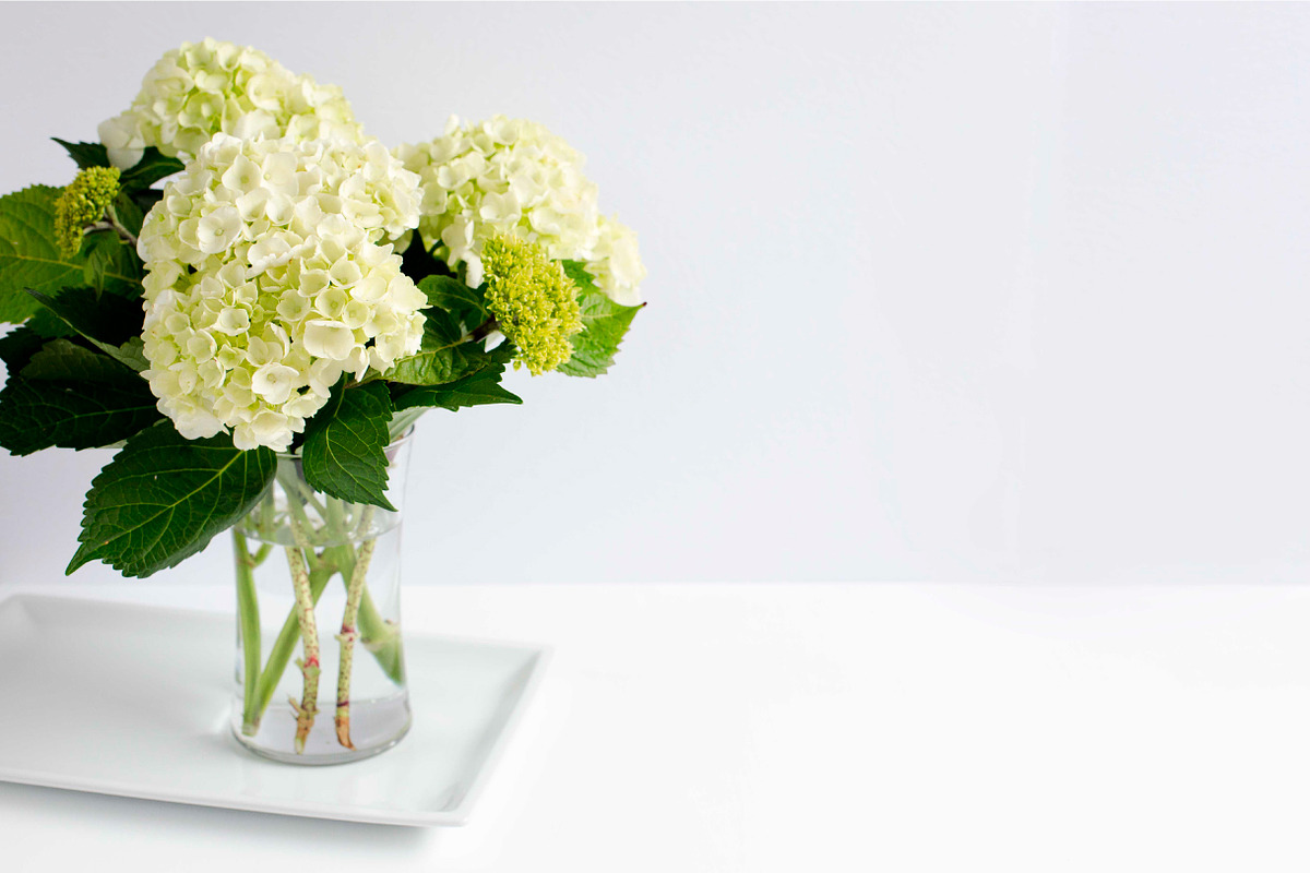 Hydrangea Styled Stock, a Business Photo by Pixels & Design (Photo 2 of 2)