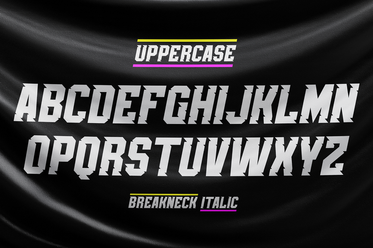 Breakneck Font Duo, a Sans Serif Font by Alphabet Agency (Photo 2 of 12)