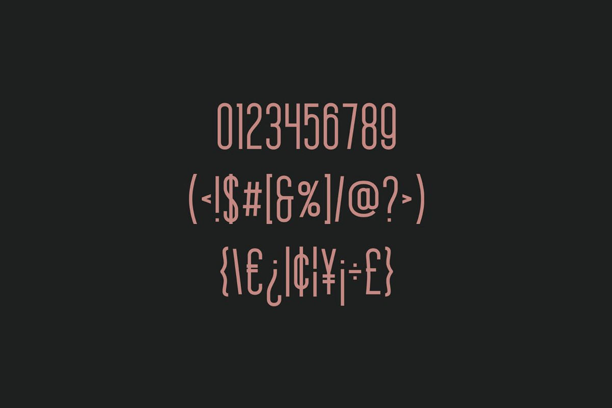 Braden Sans Font Family preview 4