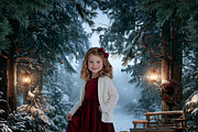 Outdoor Christmas Digital Backdrops, a Background Graphic by Walllow Creatives (Thumbnail 3 of 6)