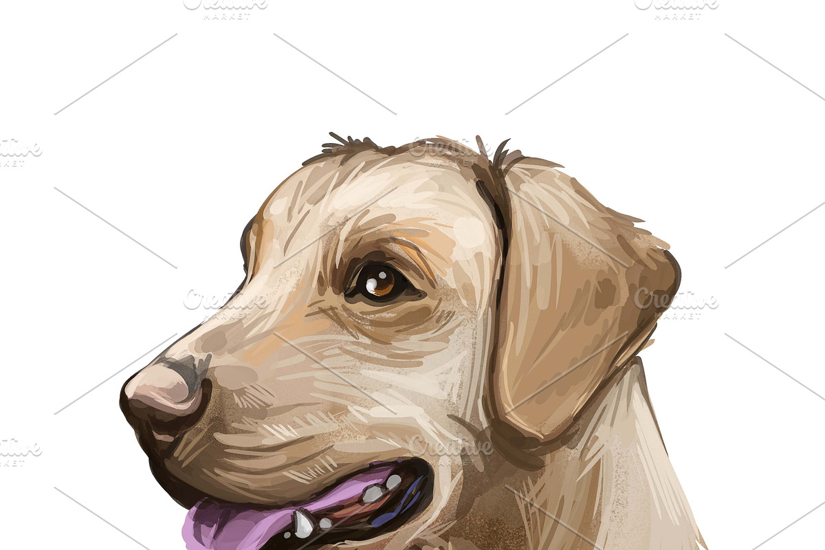 Dogs Cross Breeds 56 Animals Bundle, an Animal Illustration by Dneprstock (Photo 18 of 55)