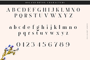 Roland Bryon Display, a Serif Font by LuhopCreative (Thumbnail 16 of 18)