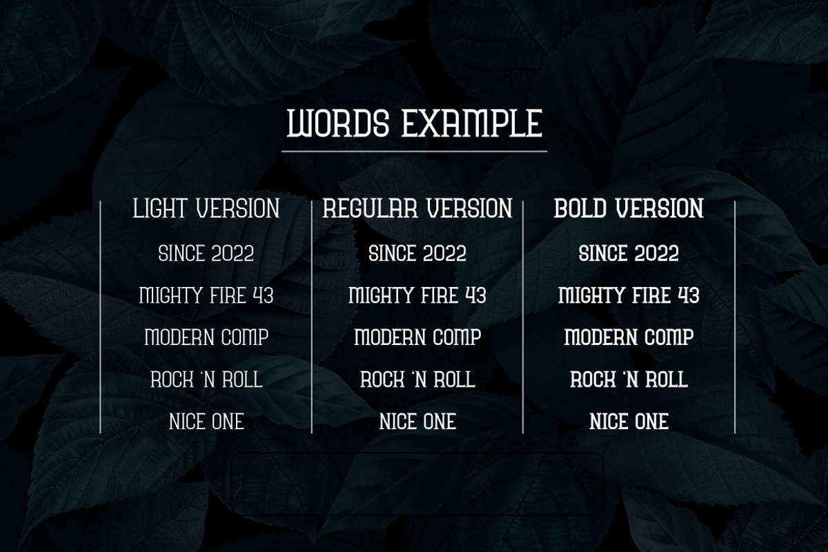 Nice One - Display Font, a Font by Mightyfire (Photo 3 of 3)