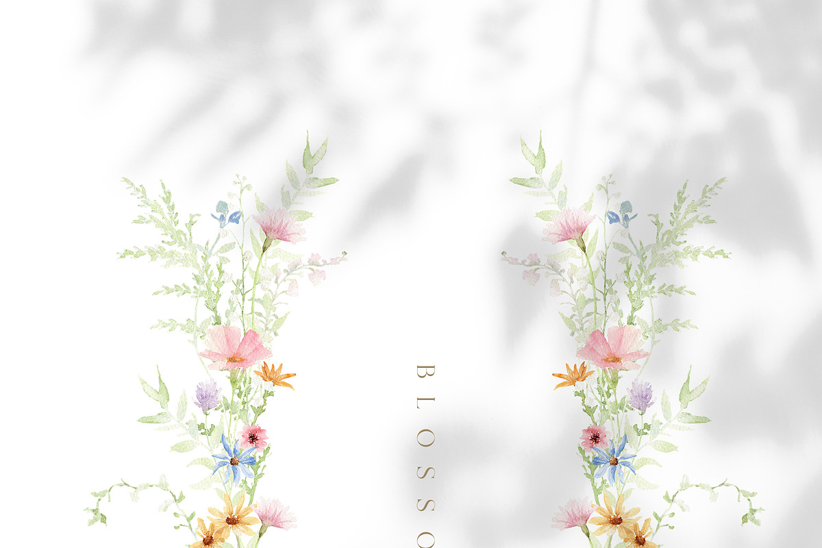 Watercolor AIRY WILDFLOWER Clipart, a Decorative Illustration by Beigetime (Photo 10 of 16)