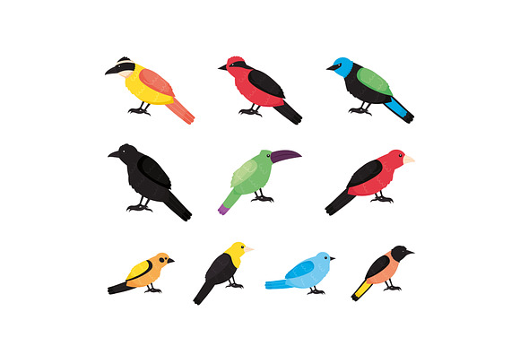 Colorful Birds Illustration Set preview 2