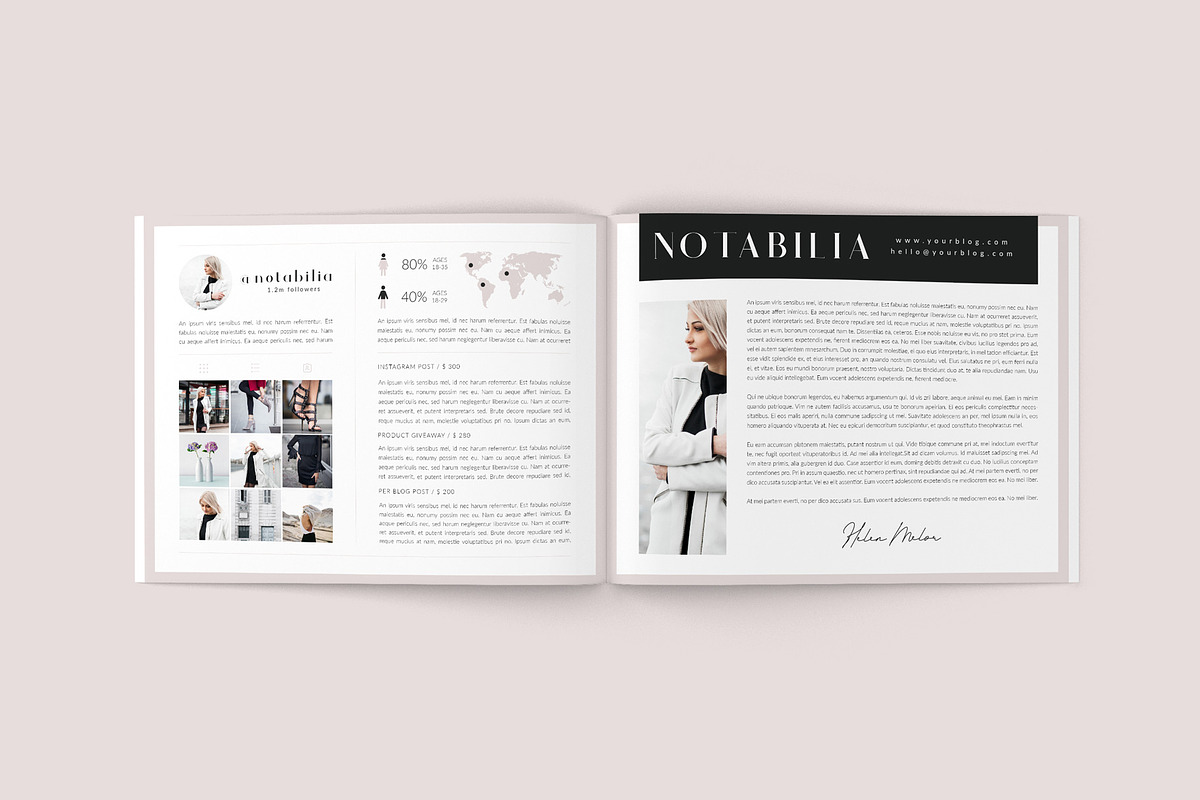 Media Kit - 5 Page, a Stationery Template by Eesome Design Studio (Photo 6 of 17)