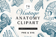 Anatomy & Skeleton PNG Lineart Pack, a Person Illustration by Century Library (Thumbnail 1 of 7)