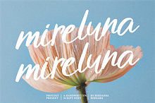 Mireluna Script Font
