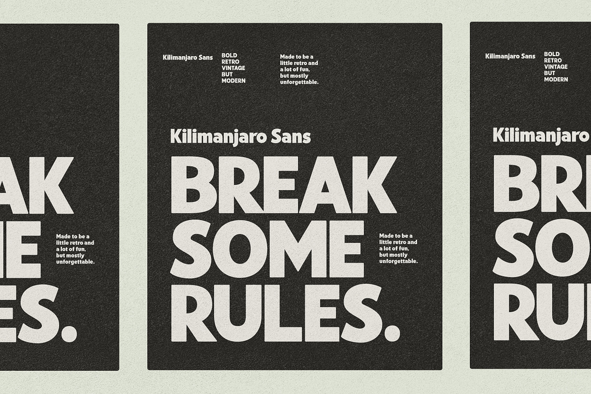 Kilimanjaro Sans (36 fonts), a Font by Nicky Laatz (Photo 68 of 75)